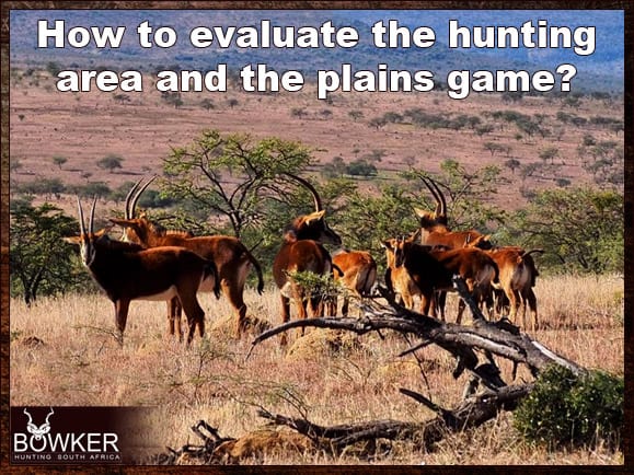 How to evaluate your hunting area?