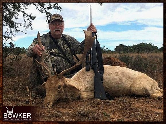 Fallow deer African hunt.