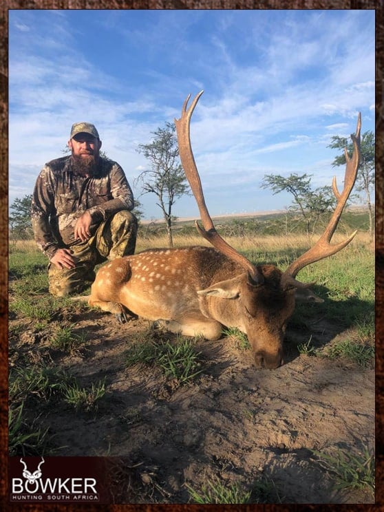 Fallow deer fair chase hunting with Nick Bowker.