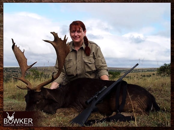 Almost black Fallow deer trophy shot in South Africa.