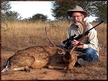 Fallow Deer hunted Safari style.