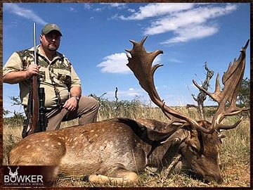 Fallow deer hunting in Africa.