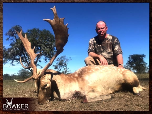 Fallow Deer trophy and review - Nick Bowker Hunting