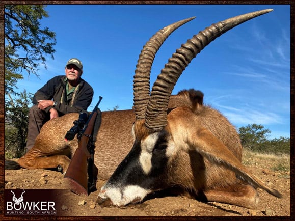Impala trophy shot on a first time African hunt
