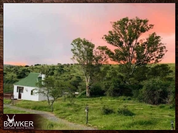 Free range African hunting accommodation