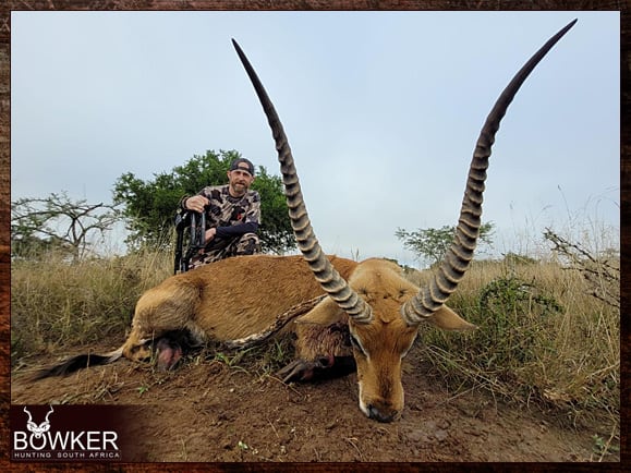 Selecting your African outfitter. Red Lechwe shot with a bow.