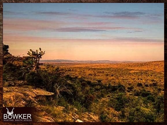 The sides of the valleys and canyons make for great vantage points. 