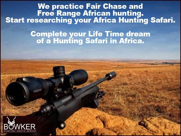 Free range south african hunting with Nick Bowker