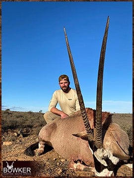 Gemsbok hunting in Africa.