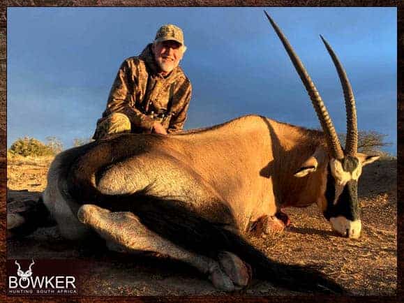 Gemsbok trophy. Gemsbok are considered plains game.