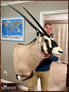 Gemsbok trophy shoulder mount delivered to the United States after an African hunt.