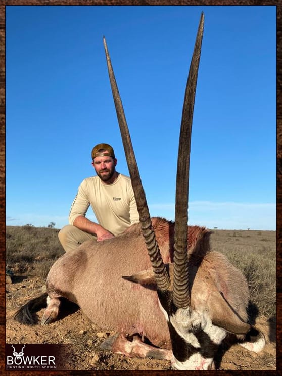 Gemsbok hunting in South Africa