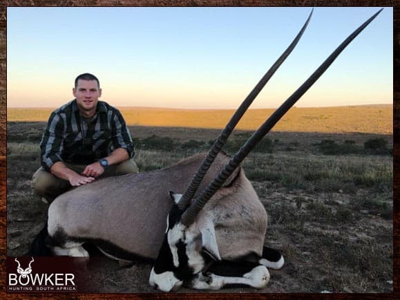 Gemsbok hunted in the Eastern Cape South Africa