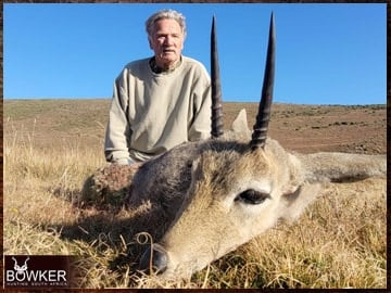 Grey Rhebok hunting in South Africa.
