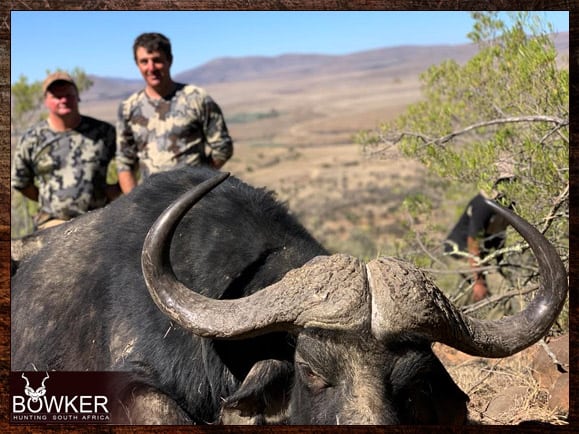 Cape Buffalo Hunting Packages and Prices - Hunt Cape Buffalo