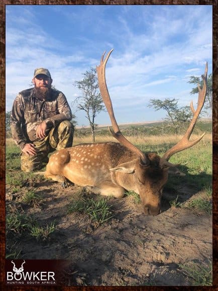 Hunting fallow deer in Africa.