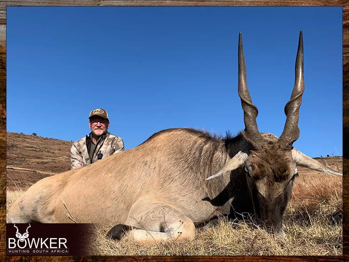 Hunting in Africa with Nick Bowker - Eland trophy