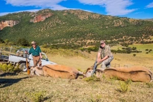 AfricaHunting recommends Nick Bowker Hunting.