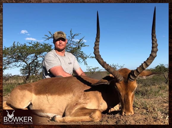 Impala hunt in South Africa