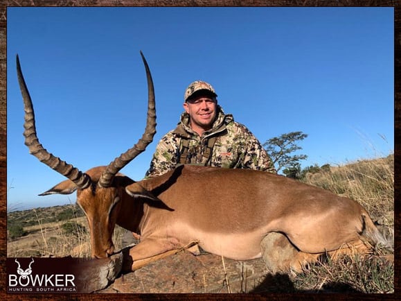 Impala harvested in 2023.