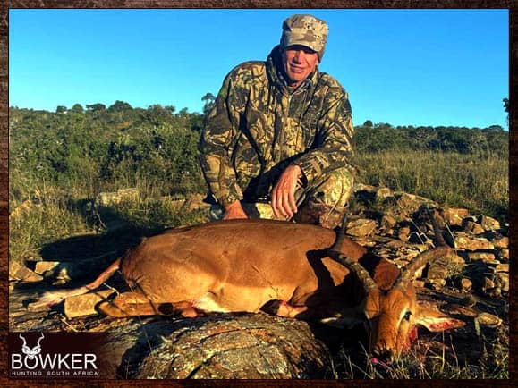 Impala shot in the Eastern Cape