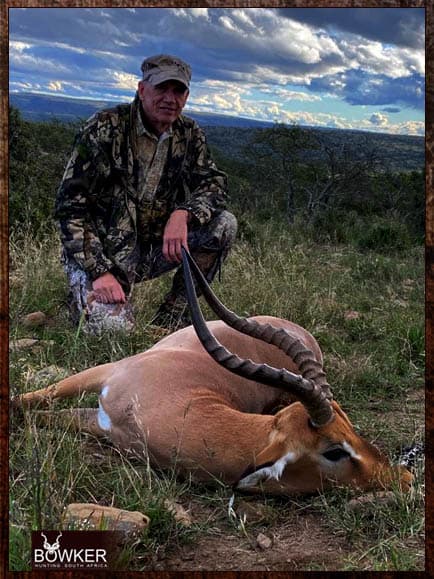 Impala cull hunting in the Eastern Cape South Africa