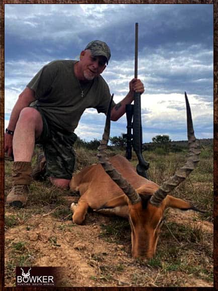 Impala on a South African cull hunt