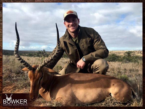 Impala trophy hunting in South Africa.