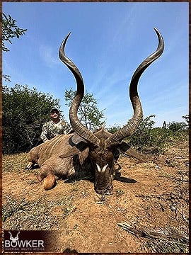 Kudu hunted in 2023 with Nick Bowker Hunting.