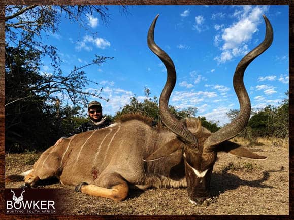 African Hunting Packages - Calculate Your African Hunt Cost 19 Kudu - Big Game Africa hunt package