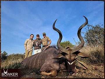 Kudu rifle hunted in africa.
