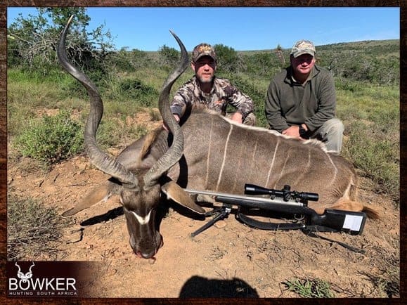 Kudu trophy. The Eastern Cape Kudu has smaller horns than, the Greater Kudu. 