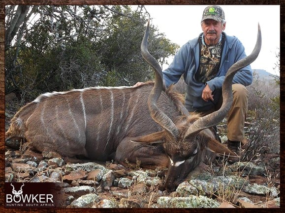 Trophy with wide spiral horns.