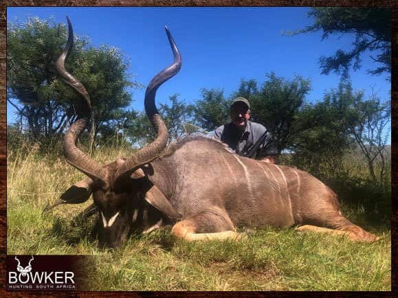 Kudu hunting safari style in Africa with Nick Bowker