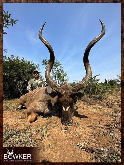 Wilderness kudu hunting