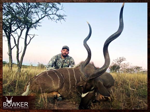 Kudu hunting in South Africa