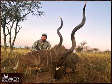 Kudu trophy hunt.
