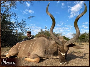 Kudu trophy hunted safari style.