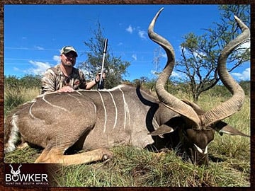 Cape Buffalo trophy hunted in the Eastern Cape South Africa.