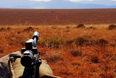 Blue Wildebeest trophy shot on a hunt in South Africa with Nick Bowker Hunting