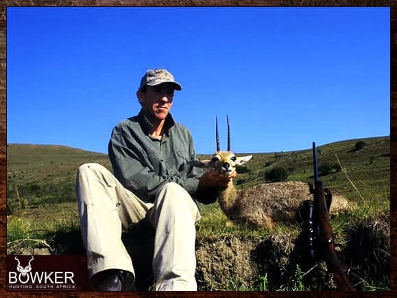 Grey rhebok hunting