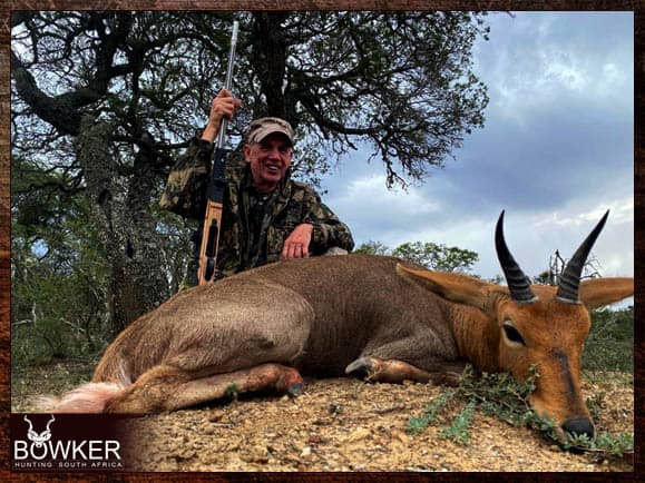 Mountain Reedbuck 