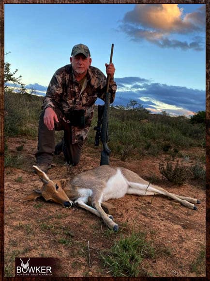 Mountain Reedbuck 