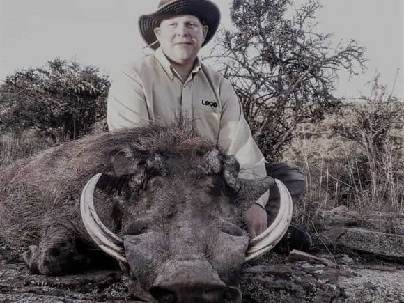 Warthog trophy shot. An African Hunting Safari, the stories of vast lands.