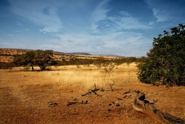 The Eastern Cape is malaria-free and makes for safe south African hunt.