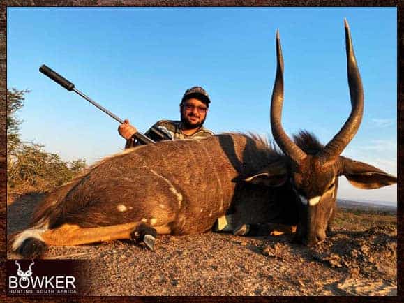 African Hunting Packages - Calculate Your African Hunt Cost 22 Nyala - Big Game Africa hunt package