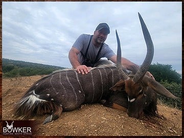 Nyala hunted Safari style.