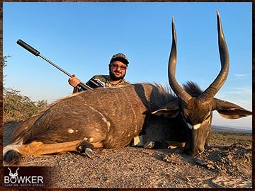 Nyala hunted in South Africa.