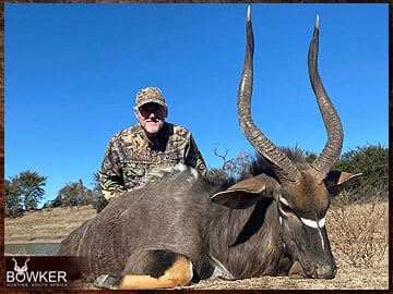 Nyala trophy hunting in South Africa.