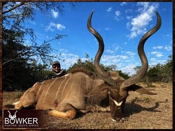 Plains game hunting package. Kudu.